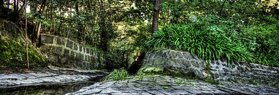 自动攻击网站工具下载